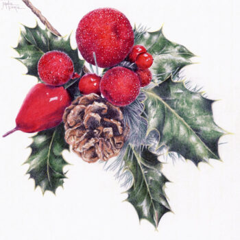Coloured Pencil Christmas Workshop with Janie Pirie *New 2023