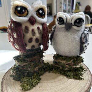 'Whimsical Owl' - Felted Sculpture with Jan Vincent *New 2025