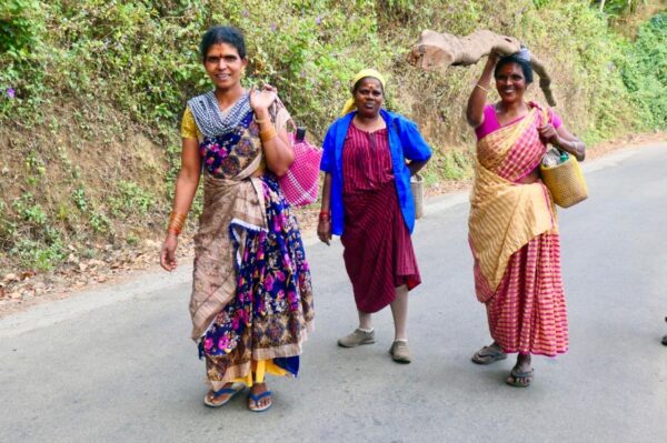 Craft & Cultural Tour of Kerala with Alex Waylett & Melanie Missin *Jan 2026 - Image 9