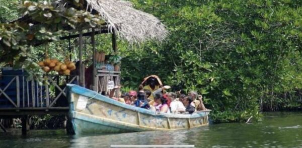 Textile & Craft Tour of Sri Lanka with Alex Waylett & Melanie Missin *January 2026 - Image 8