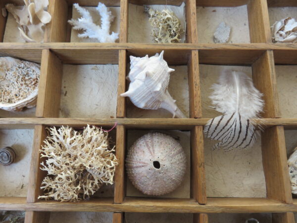 'Fragile Forms' with Amanda Clayton *New 2026 - Image 5