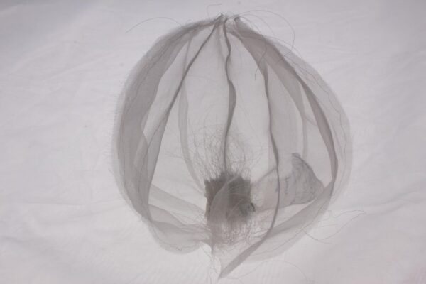 'Fragile Forms' with Amanda Clayton *New 2026 - Image 3