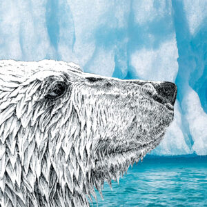 'A Frozen World' With Nigel Cheney *New 2026