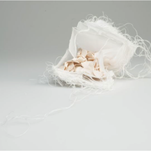 'Fragile Forms' with Amanda Clayton *New 2026