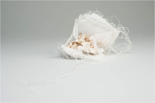 'Fragile Forms' with Amanda Clayton *New 2026