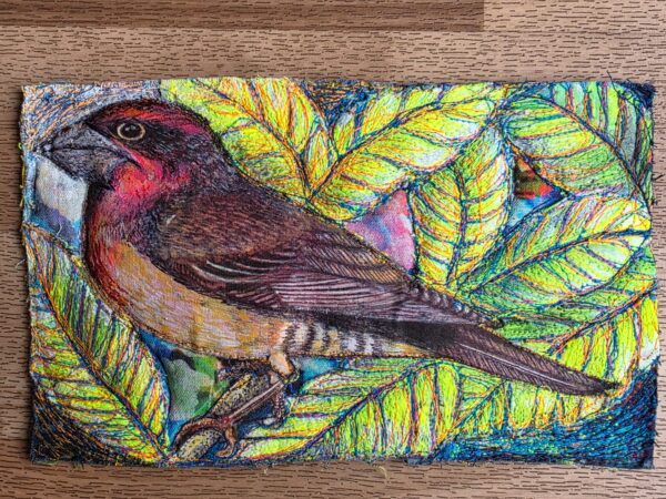 'Bird Mania' with Nikki Parmenter *New 2026 - Image 13