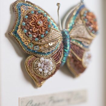 Pheasant, Honesty, Butterfly  with Jenny Adin-Christie *2027