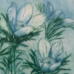 Dry Point Painterly Botanicals with Charlotte Aldis * New 2026